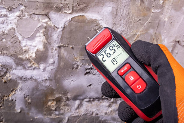 Office Mold Removal Services in Wayne, NE