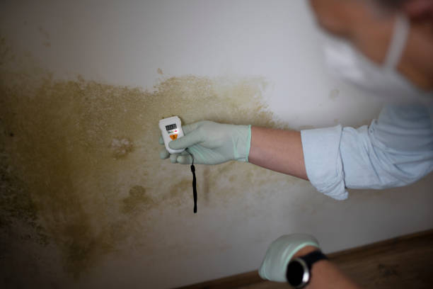 Crawl Space Mold Removal in Wayne, NE